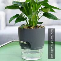 Eco pot